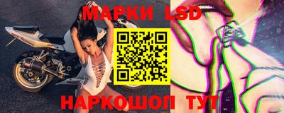 spice Гай