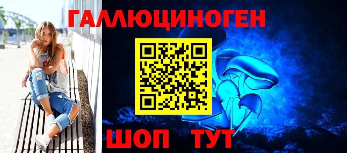 Псилоцибиновые грибы Cubensis Йошкар-Ола