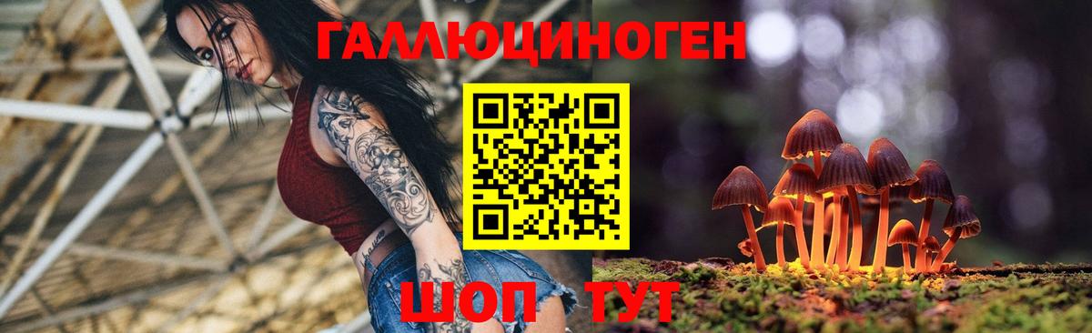 Псилоцибиновые грибы ЛСД  Псилоцибиновые грибы GOLDEN TEACHER  Вход с VPN  Йошкар-Ола 